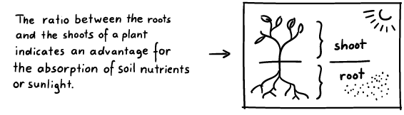an example for an illustration