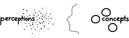 perceptions and concepts